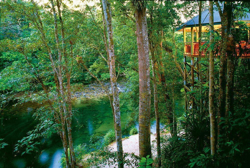 Silky Oaks Lodge Mossman Kültér fotó